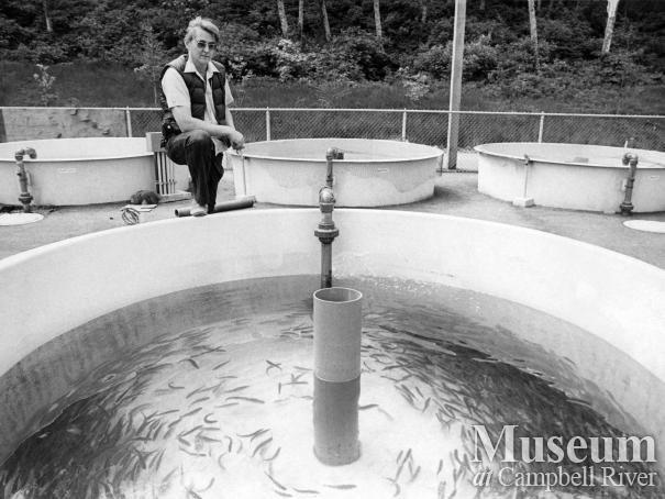 Quinsam Fish Hatchery, September 1976