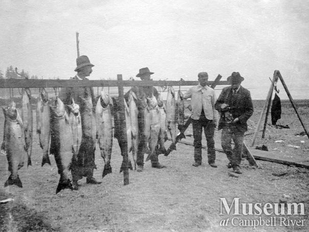 Catch of fish, Campbell River