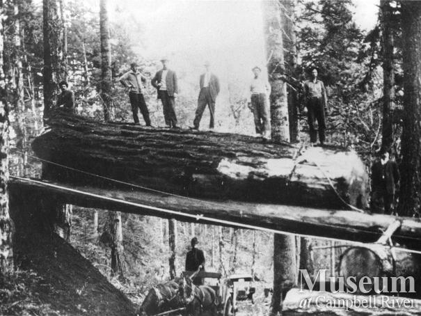 Log chute over the Island Highway