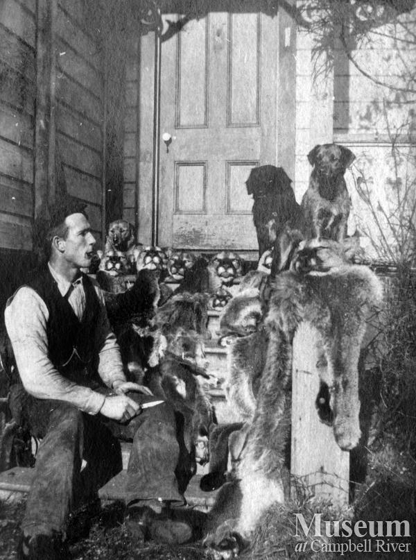 Cecil Smith with several dead cougars.