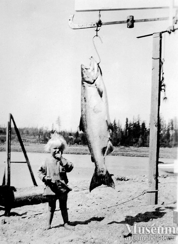 Salmon on the scales